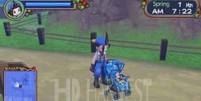 Can I Have a Child After Married in Harvest Moon: Hero of Leaf Valley?