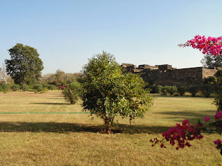 garden in fort area
