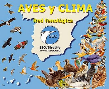 Aves y Clima