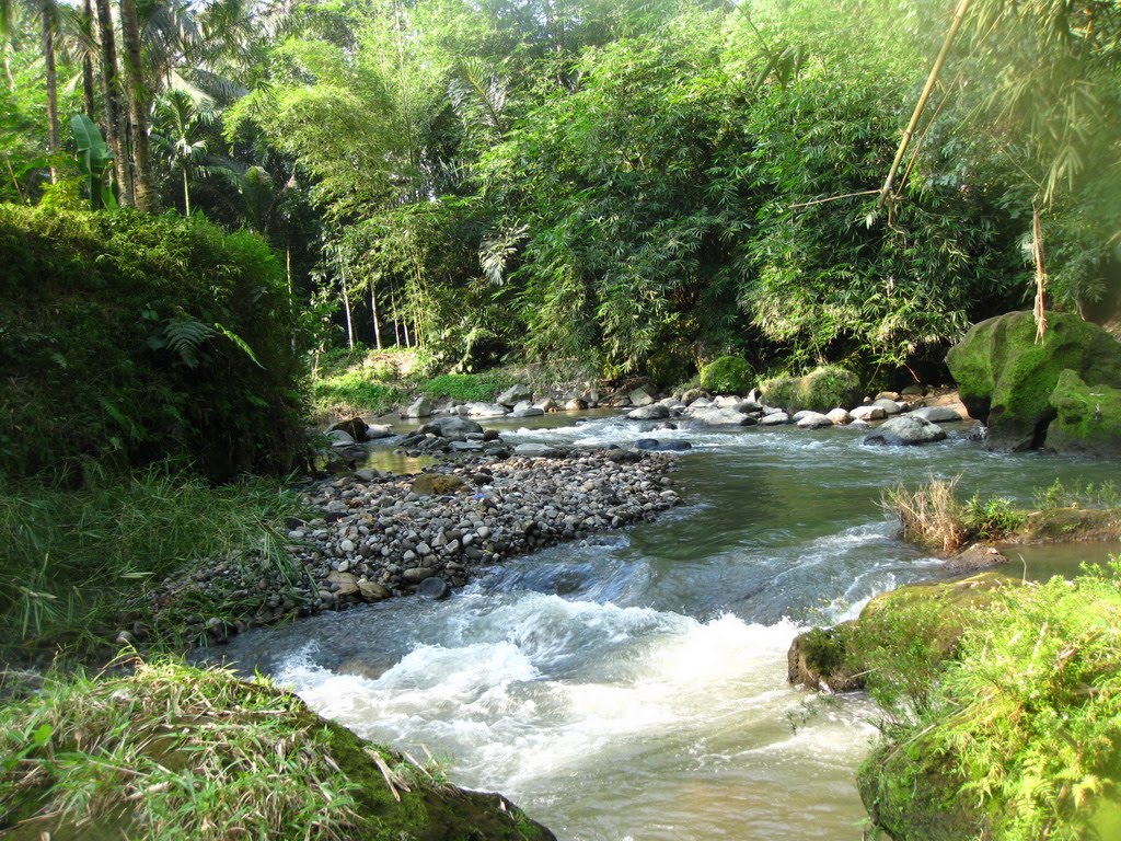 Cintai Sungai Kita