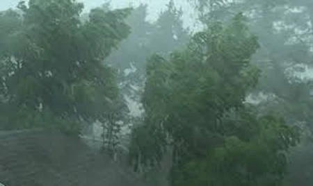 Kerala to receive heavy rainfall; yellow, orange alert issued across several districts,Thiruvananthapuram, News, Rain, Kannur, kasaragod, Ernakulam, Kerala