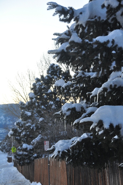 blizzard Colorado Springs coloradosprings.filminspector.com