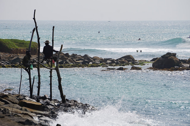 pescadores sobre estacas no Sri Lanka