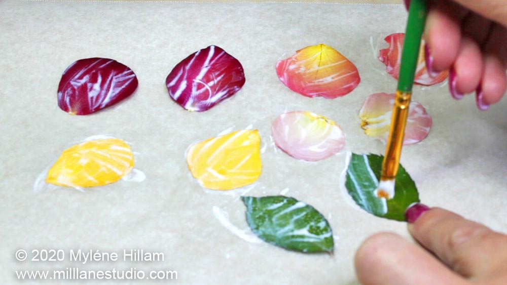 DRIED FLOWERS Embed in Resin