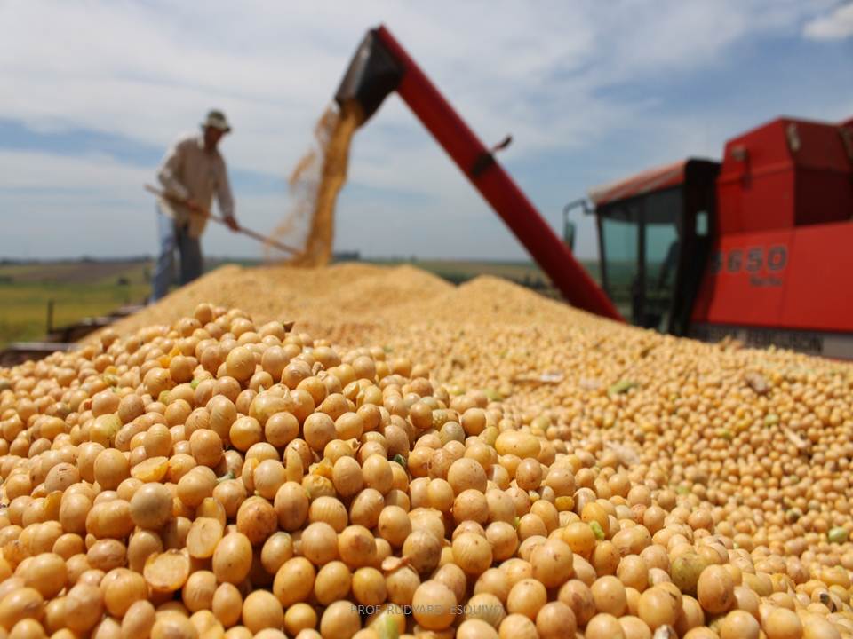 PROFESOR RUDYARD ESQUIVO: GEOGRAFÍA: CIRCUITO DE LA SOJA EN URUGUAY