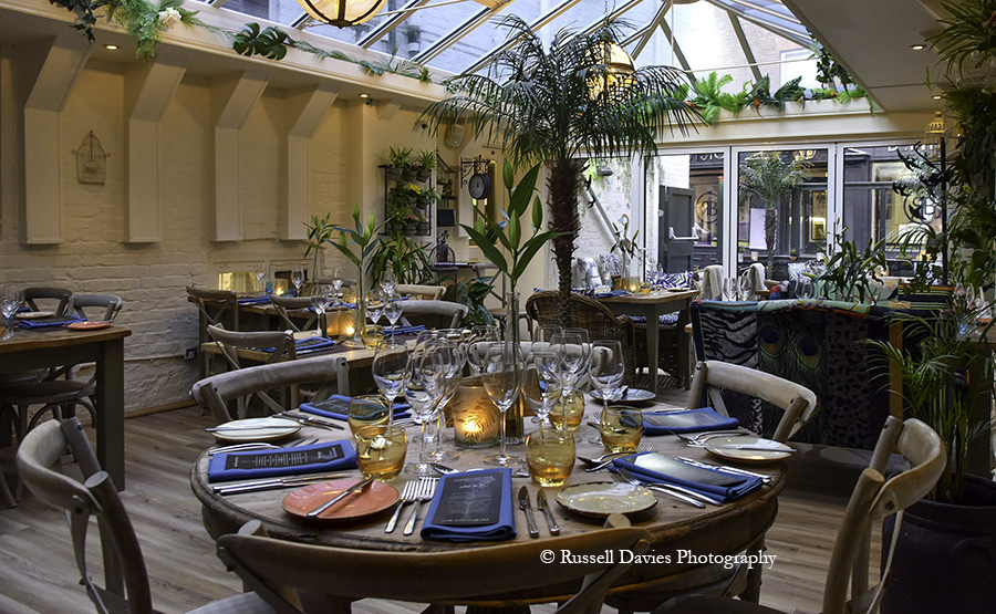 Darwin's Kitchen Shrewsbury Review A Glug of Oil