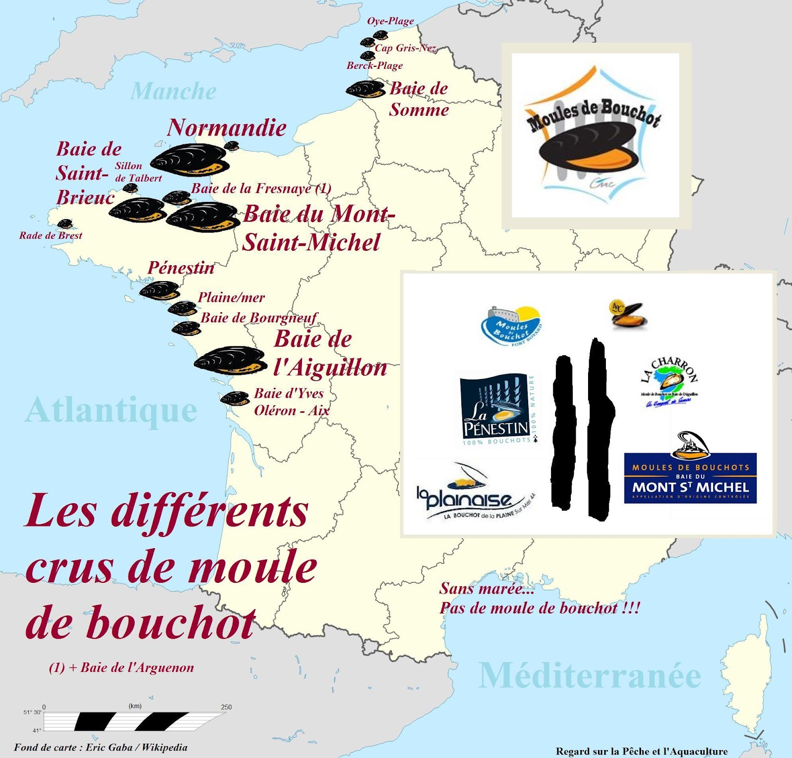 Résultat de recherche d'images pour "casserole de moules de bouchot libres de droit"