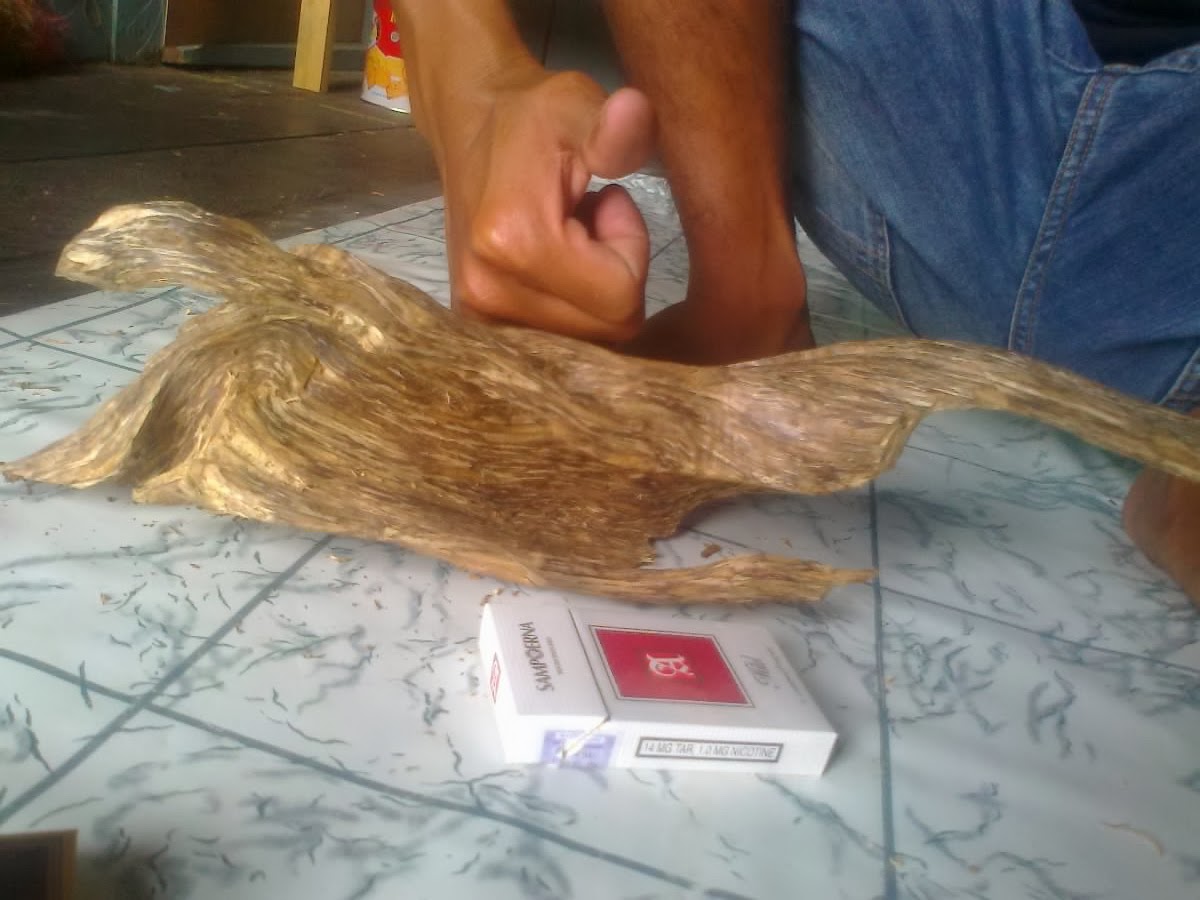 Pembeli Gaharu Indonesia, Gaharu AB, Saba dan Super: Beli Gaharu