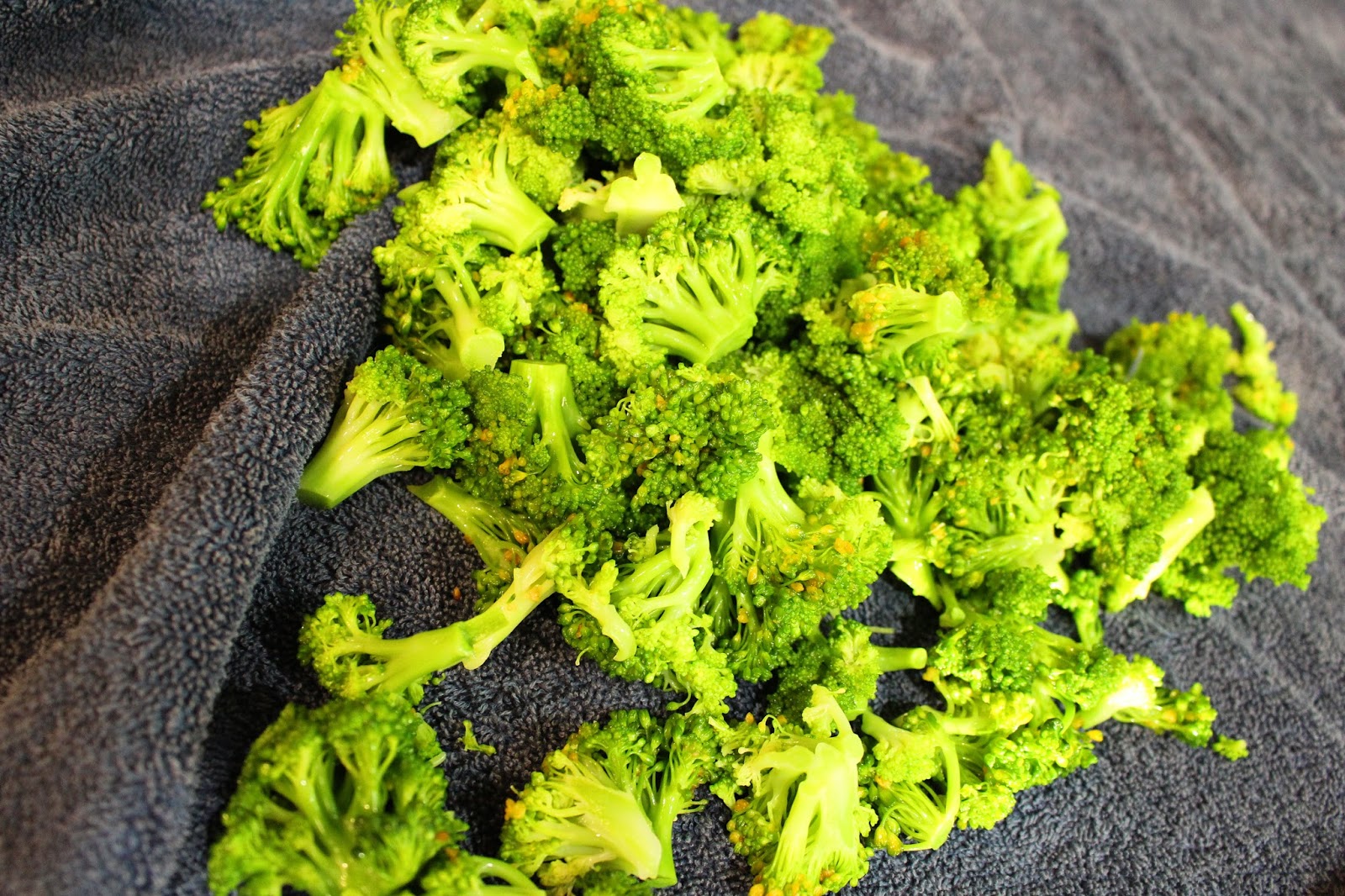 Millennial Homestead How to Freeze Broccoli from the Garden