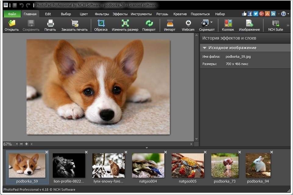 NCH PhotoPad Image Editor 11.47 download the new version for android NCH PhotoPad Image Editor 11.47 download the new version for android
