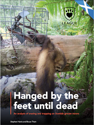 SGA latest news photo