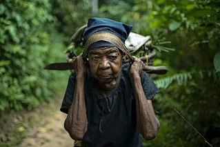 Elderly woman bringing firewood to the village of Masako, Kinsagani, Democratic Republic of Congo.