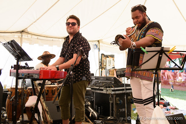 Andrew Craig at Hillside Festival on Sunday, July 14, 2019 Photo by John Ordean at One In Ten Words oneintenwords.com toronto indie alternative live music blog concert photography pictures photos nikon d750 camera yyz photographer