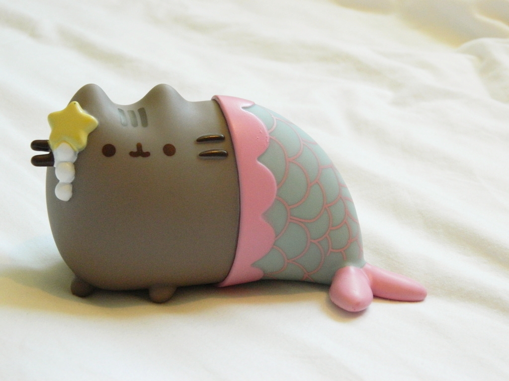 Pusheen Box Summer Edition Review Raiin Monkey