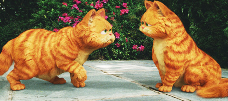 Gambar Kucing Garfield Asli - Koleksi Gambar HD