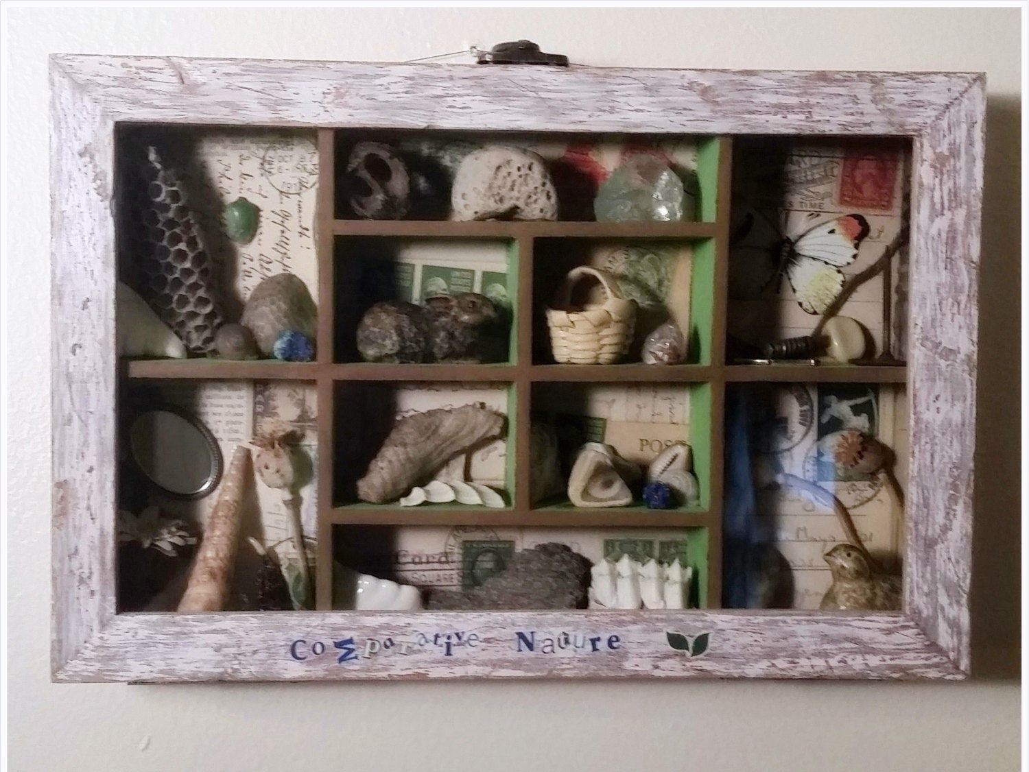 Curio Box Assemblage Art Filled With Natural and Man Made / Comparative