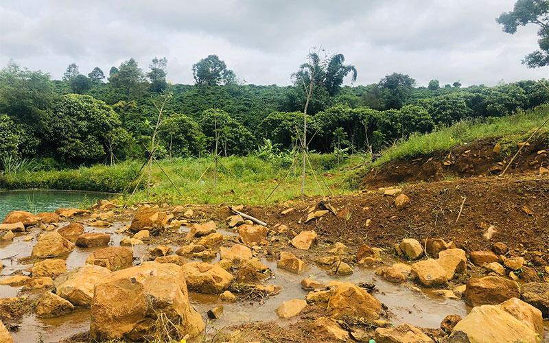 Hồ và suối tự nhiên