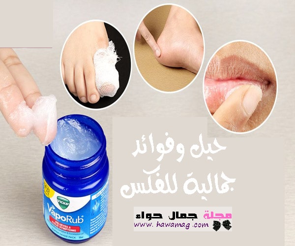 فوائد الفكس - فوائد الفكس للبشره - فوائد الفكس الجمالية - فوائد الفكس الطبية والصحية - الفيكس 0 الفاس - الفقس - ابو فاس فوائد الفكس - فوائد الفكس للبشره - فوائد الفكس الجمالية - فوائد الفكس الطبية والصحية - الفيكس 0 الفاس - الفقس - ابو فاس