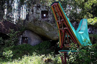 7 Facts about Baby Graves in Tana Toraja