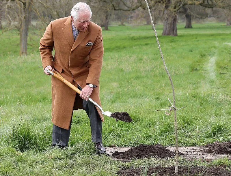 Prince Charles wore a camel wool coat. Chelsea Flower Show