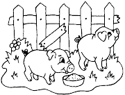 Dessin cochon