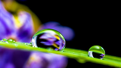 Gotas de agua