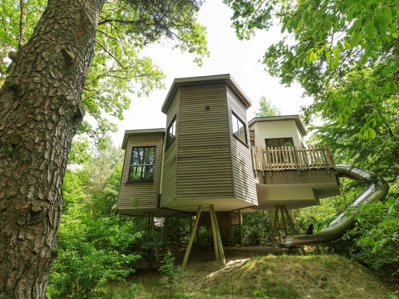 Choosing the Best Center Parcs Holiday in the Netherlands North East