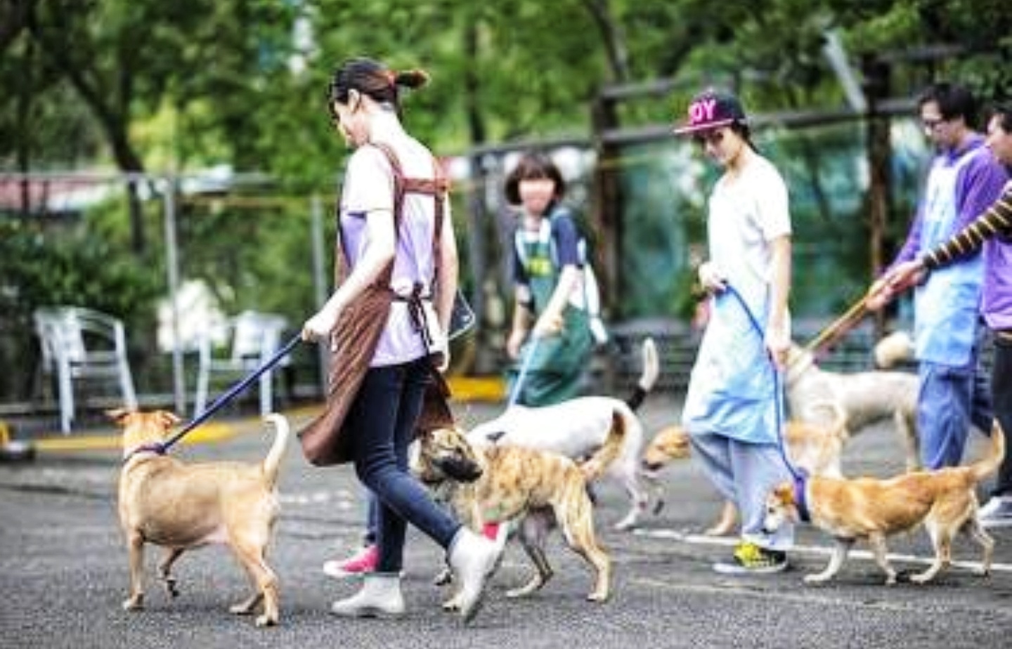 Taipei Aims To Be A Pet Friendly City, Restaurants Offers Healthy