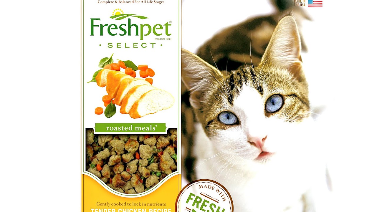 Low Iodine Cat Food Recipes Recipe Choices