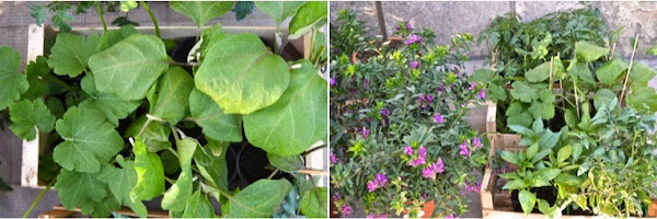 el huerto por Un bon moment