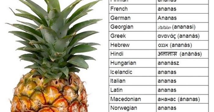 Pineapple на английском. Ананас на других языках. Ананас перевод. Английское слово ананас. Ананас по турецки.
