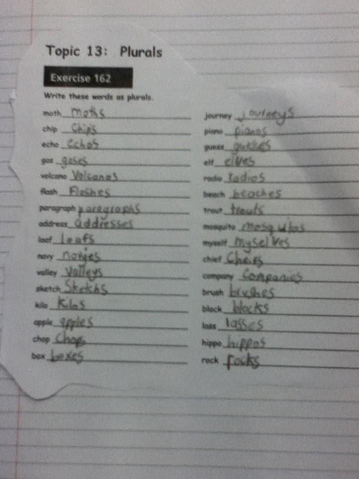 Emily's learning Journey Plurals