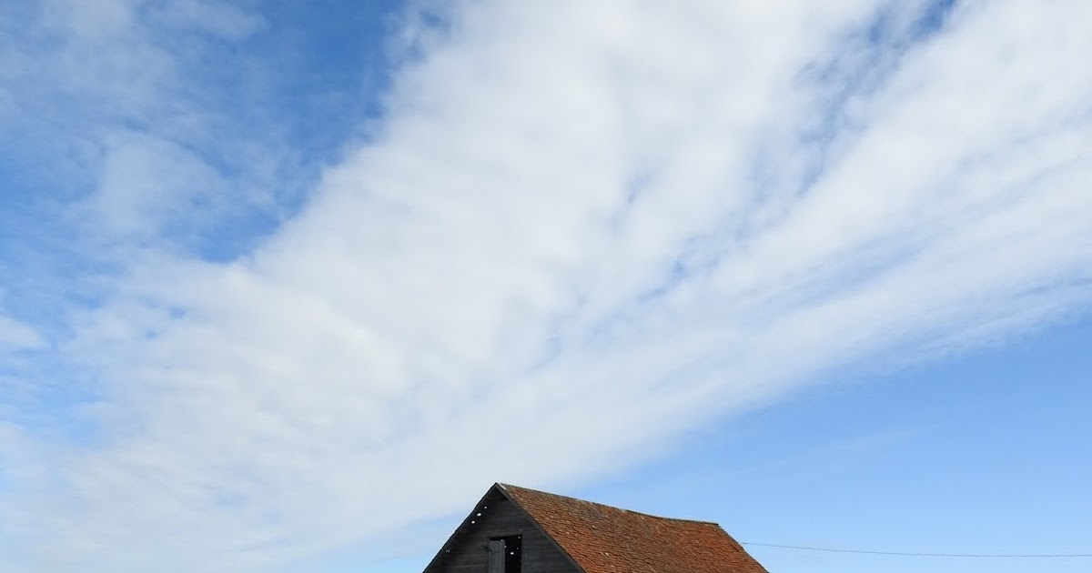 The view from here Summer in Minburn County, Alberta