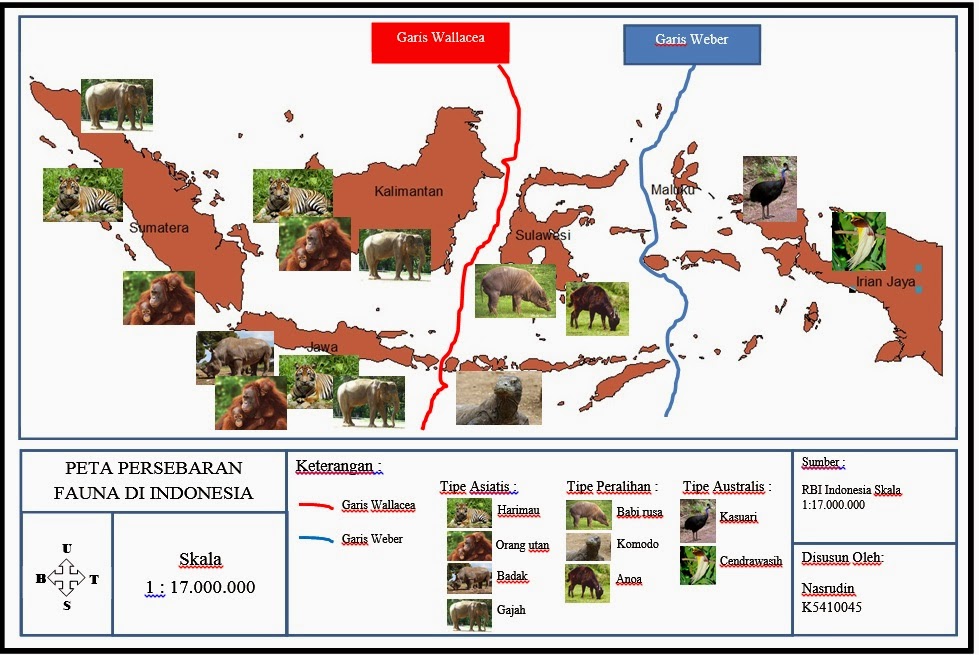 Pembagian Persebaran  Flora  dan  Fauna  di  Indonesia  Materi 