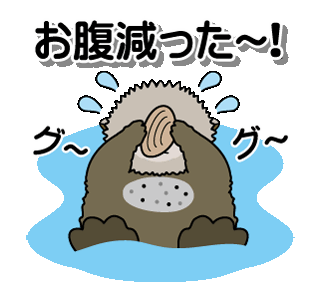 Line Creators Stickers Move We Re Funny Sea Otter 2 Example With Gif Animation