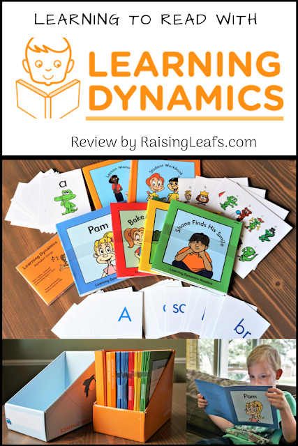 Raising Leafs: Learning Dynamics Review