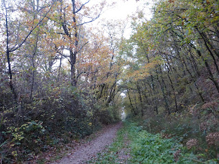 Randonnée Tarn Albi Bea rando Decouverte
