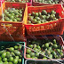 Detiene SSP a uno en posesión de 450 kilos de aguacate aparentemente ilegal