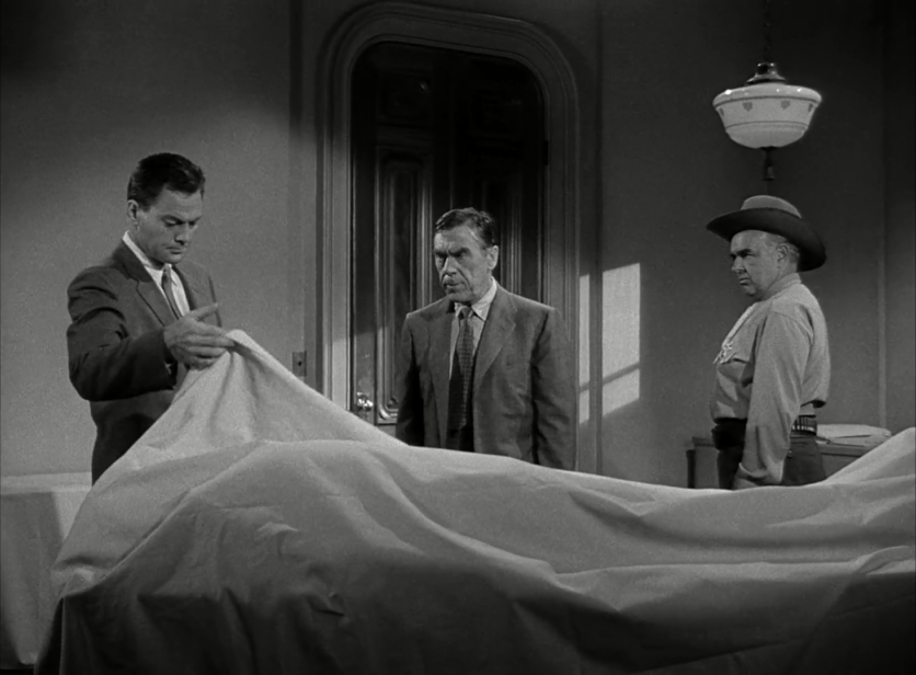 Tarantola Recensione