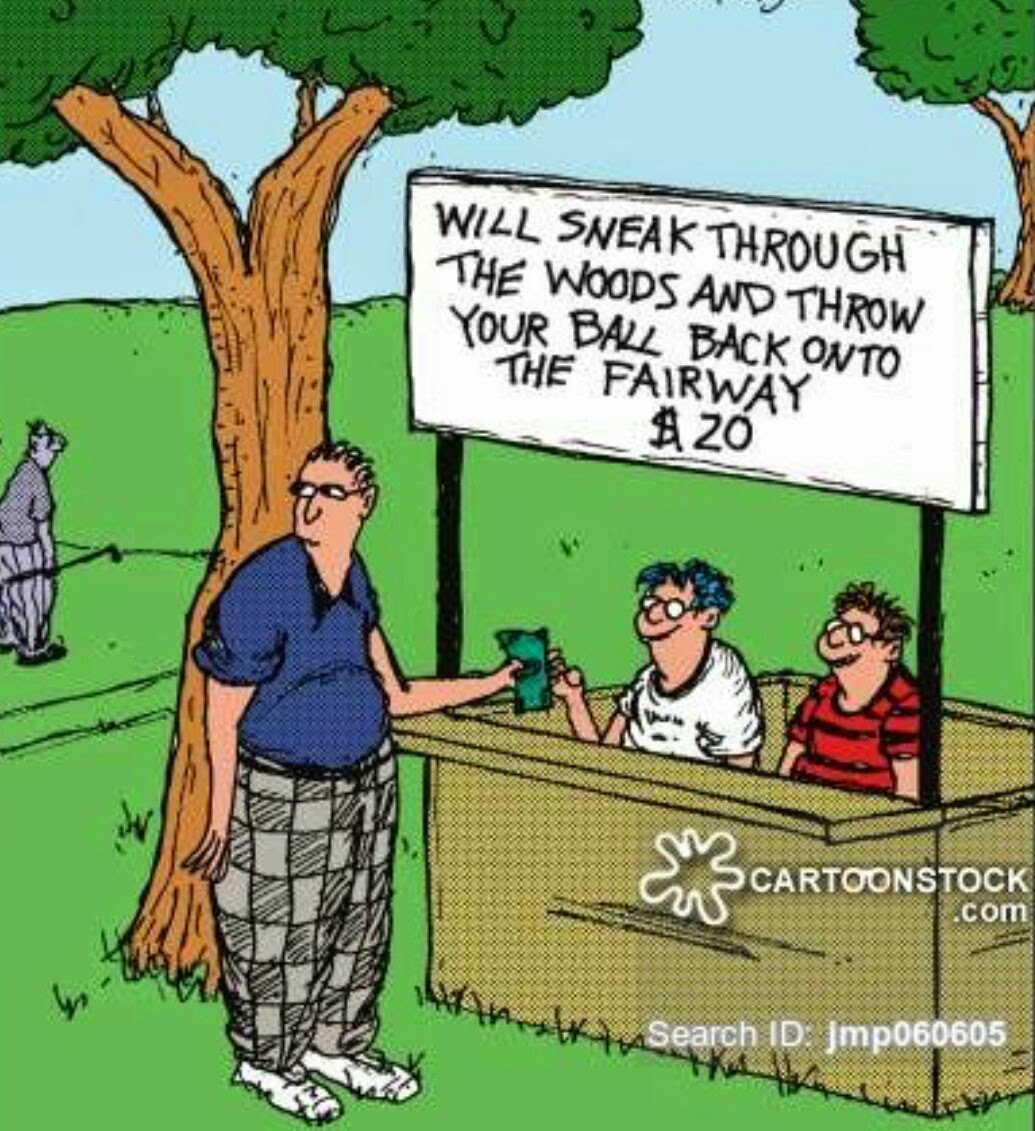 Experience has taught me well Golf Humor
