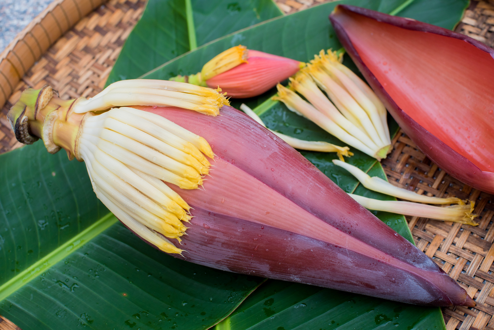 Medicinal uses of banana flower