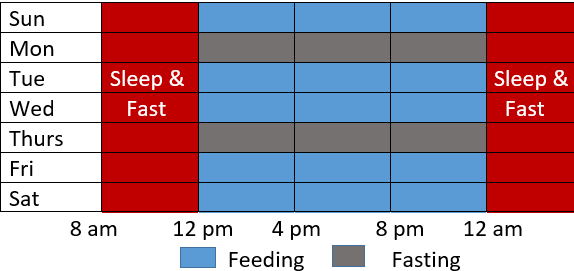 Intermittent Fasting: A Complete Guide Table showing the eating and fasting window of eat-stop-eat method of intermittent fasting