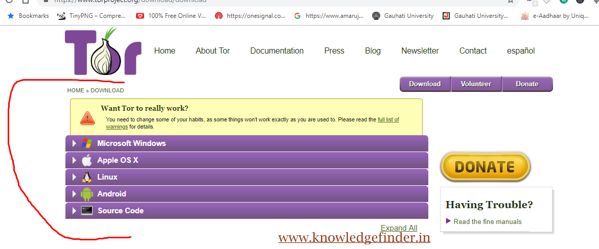 Discover the Secrets of Tor Market: Your Guide to Accessing Darknet Markets