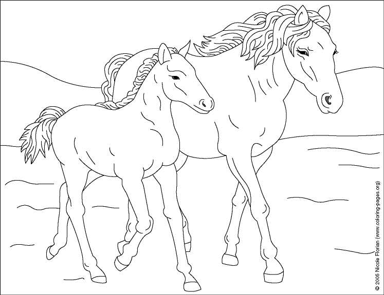 Interactive Magazine: Horse coloring pictures