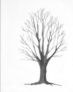 sketch of bare trunk and llmbs