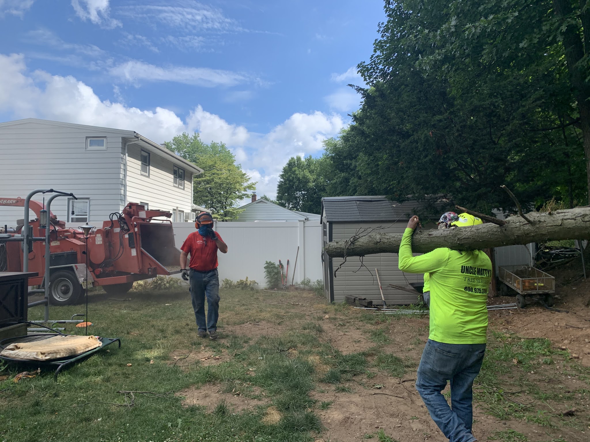 Tree Care in NJ Tree removal in Huston County, NJ