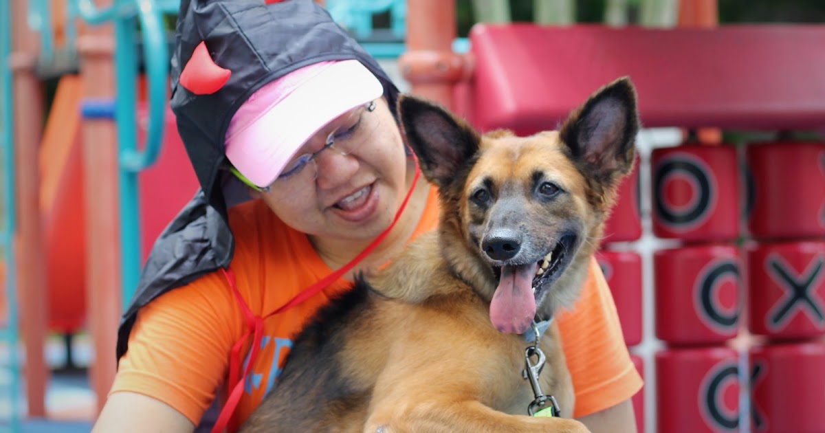 HOPE Dog Rescue What Is Fostering