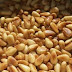 what is pine nuts and uses in hindi - पाईन नट का हिंदी अर्थ उपयोग और पोषक तत्व 