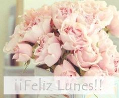 lunes-positivo-pretty-things