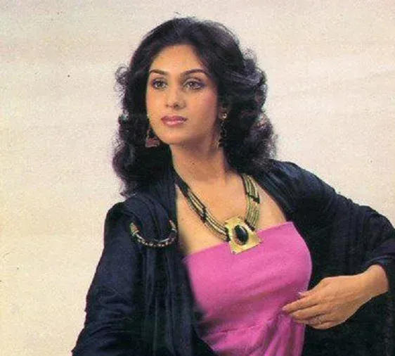 meenakshi seshadri birthday special